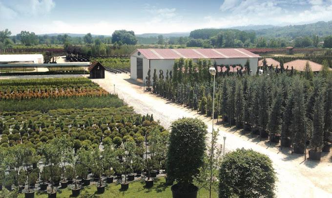 Serbesler Botanik, No 1 Comfortable Villa Sakarya  Buitenkant foto