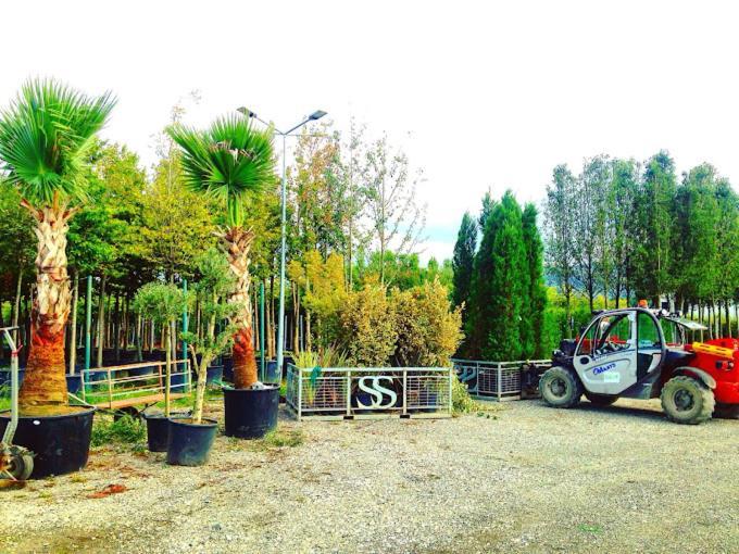 Serbesler Botanik, No 1 Comfortable Villa Sakarya  Buitenkant foto